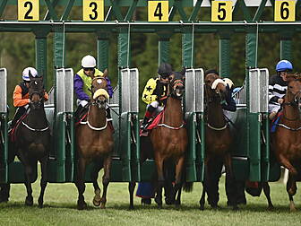 Horse Racing Ireland confirm r...